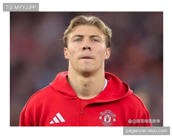 霍伊伦新星耀眼表现引足坛瞩目 霍伊伦新星耀眼表现引足坛瞩目