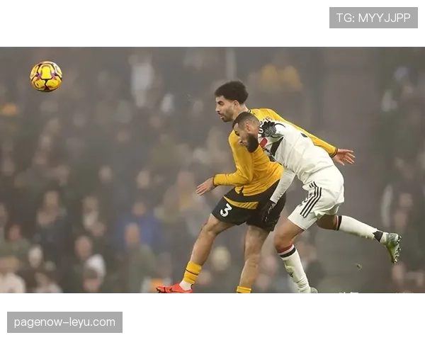 狼队转会窗引援频频，状态回暖成焦点