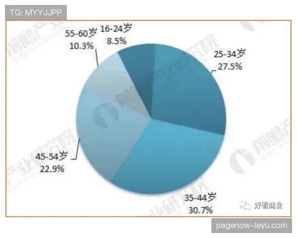 麦迪逊长期被低估的原因与真实价值解析 麦迪逊长期被低估的原因与真实价值解析